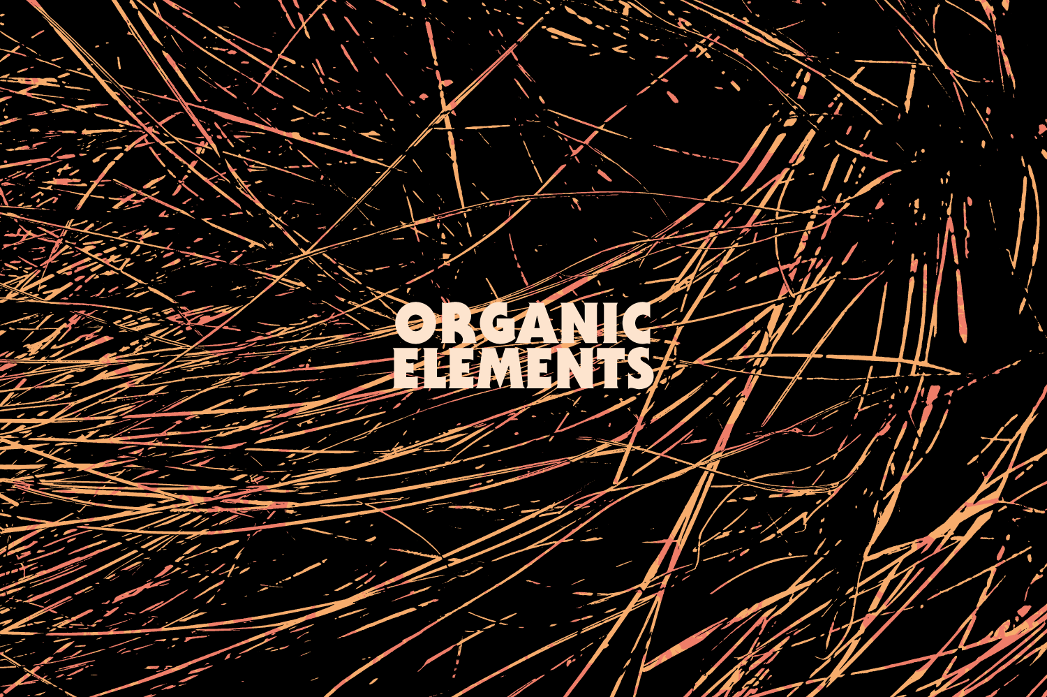 The Essentials Collection