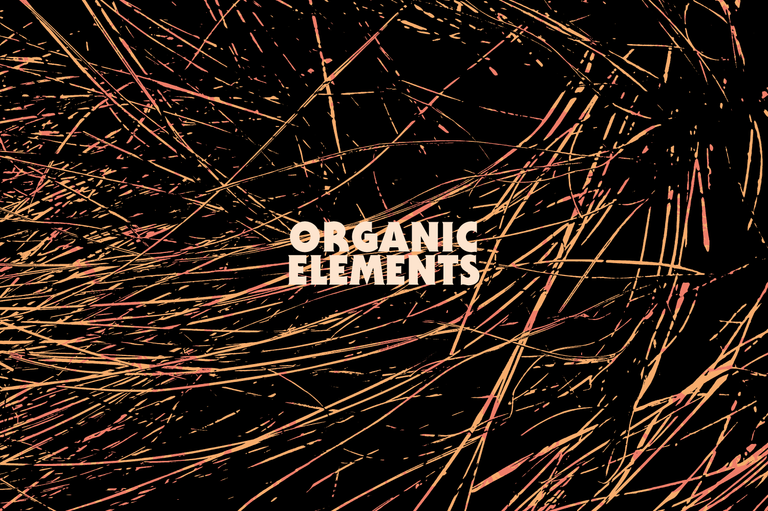 The Essentials Collection