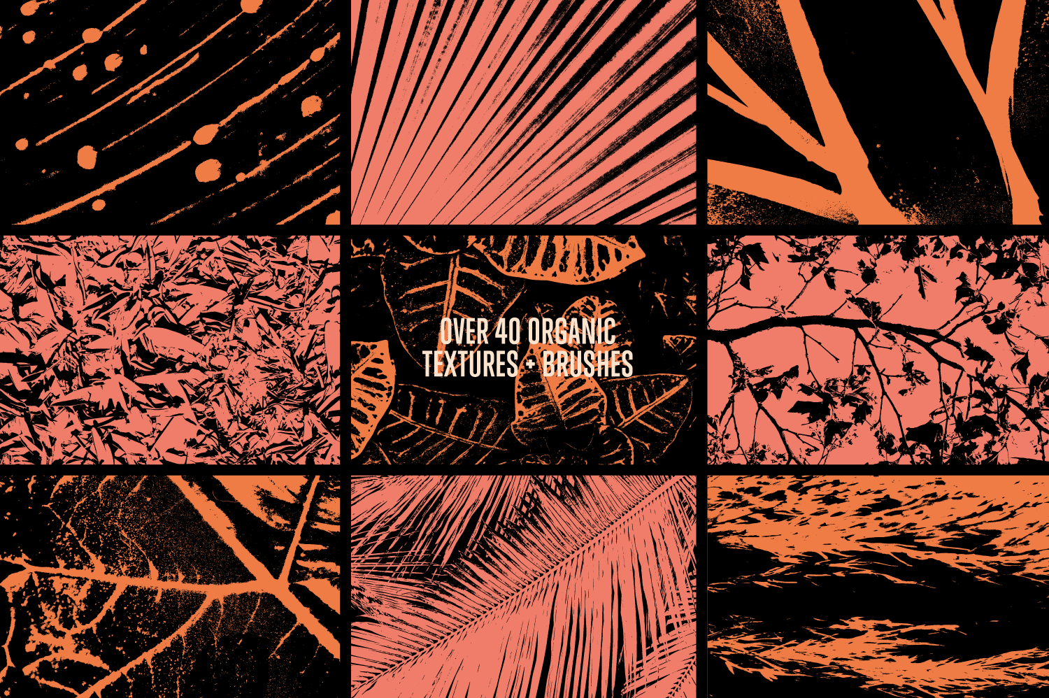 The Essentials Collection