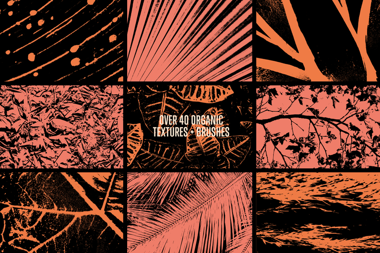 The Essentials Collection