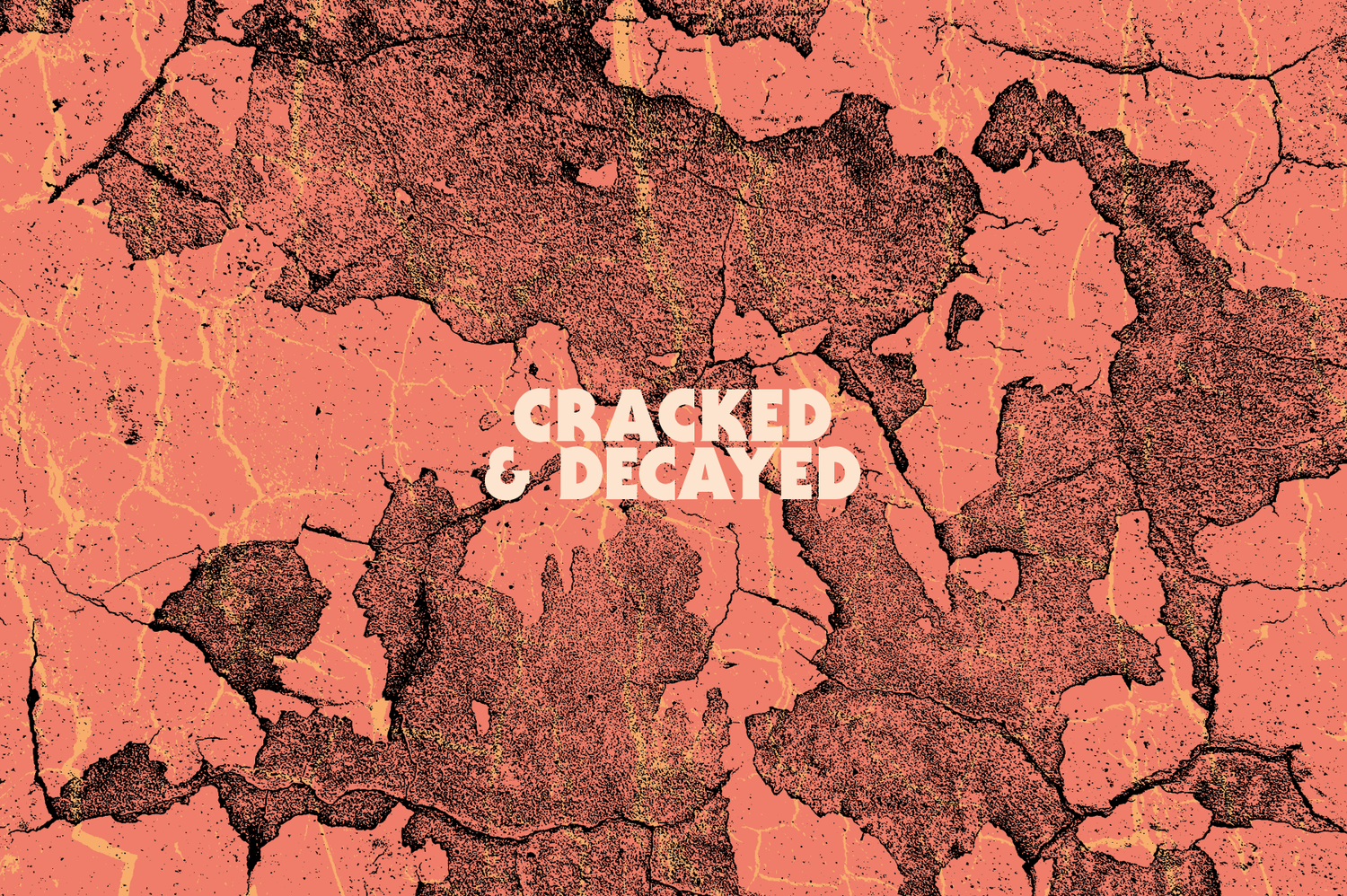 The Essentials Collection