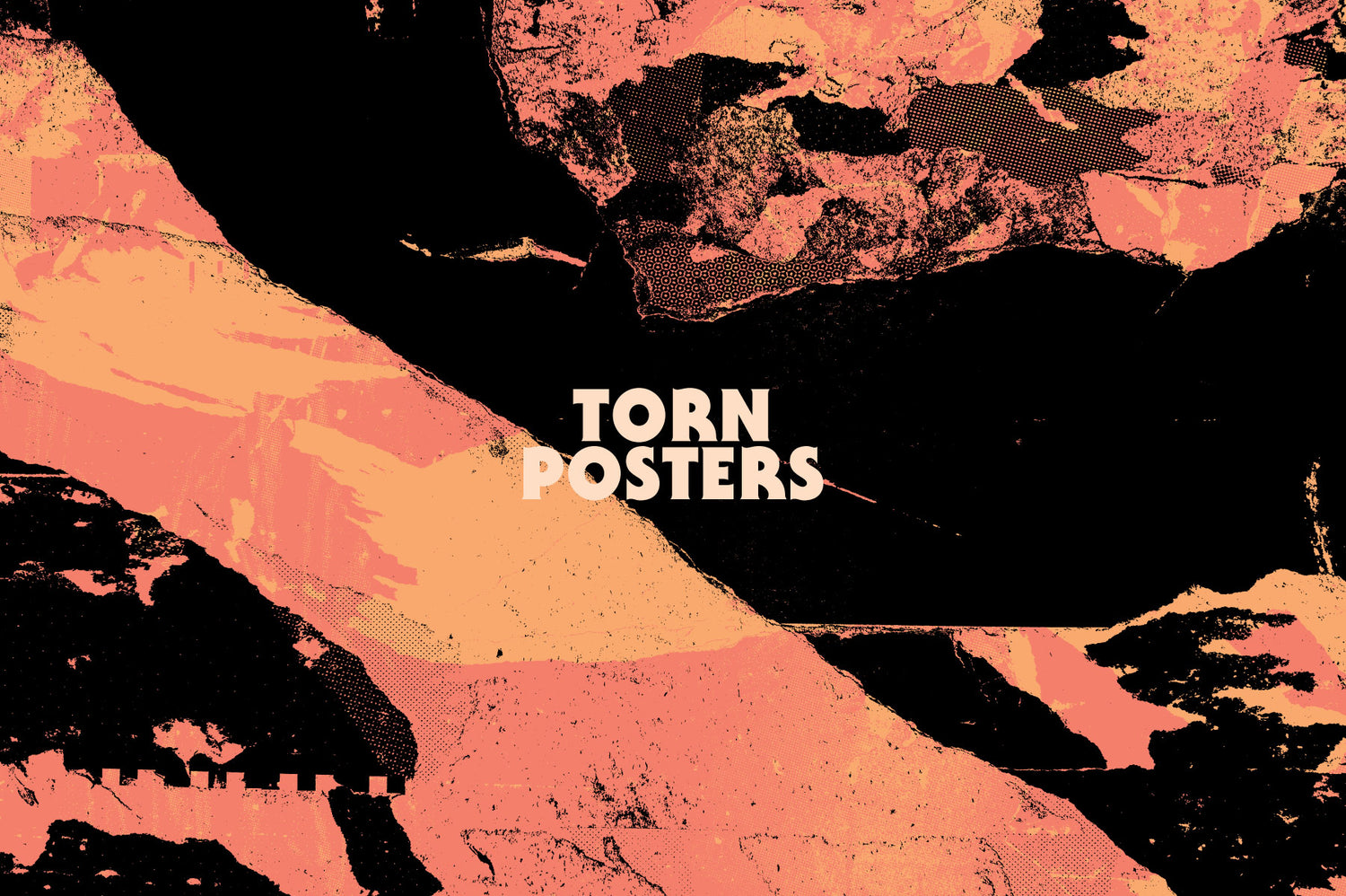 The Essentials Collection